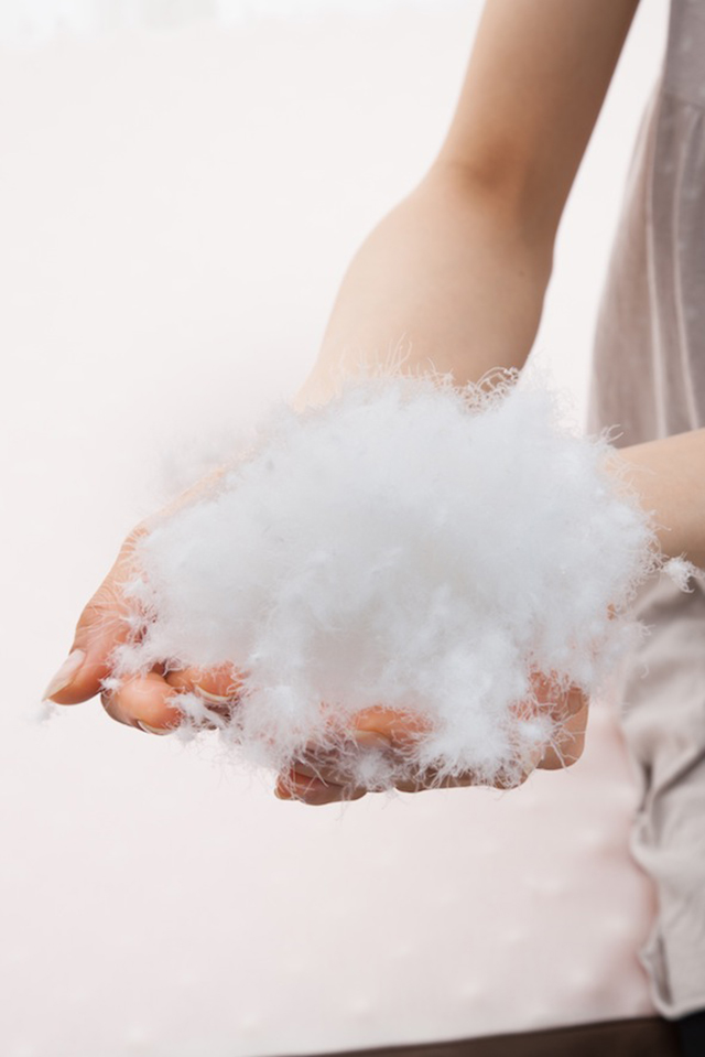 羽毛と言えばみんな中身は同じ？暖かさが全く違います！